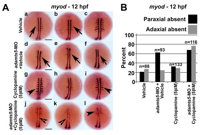 https://cdn.ncbi.nlm.nih.gov/pmc/blobs/14d3/5877627/07ca6c51620c/ijms-19-00766-g004.jpg