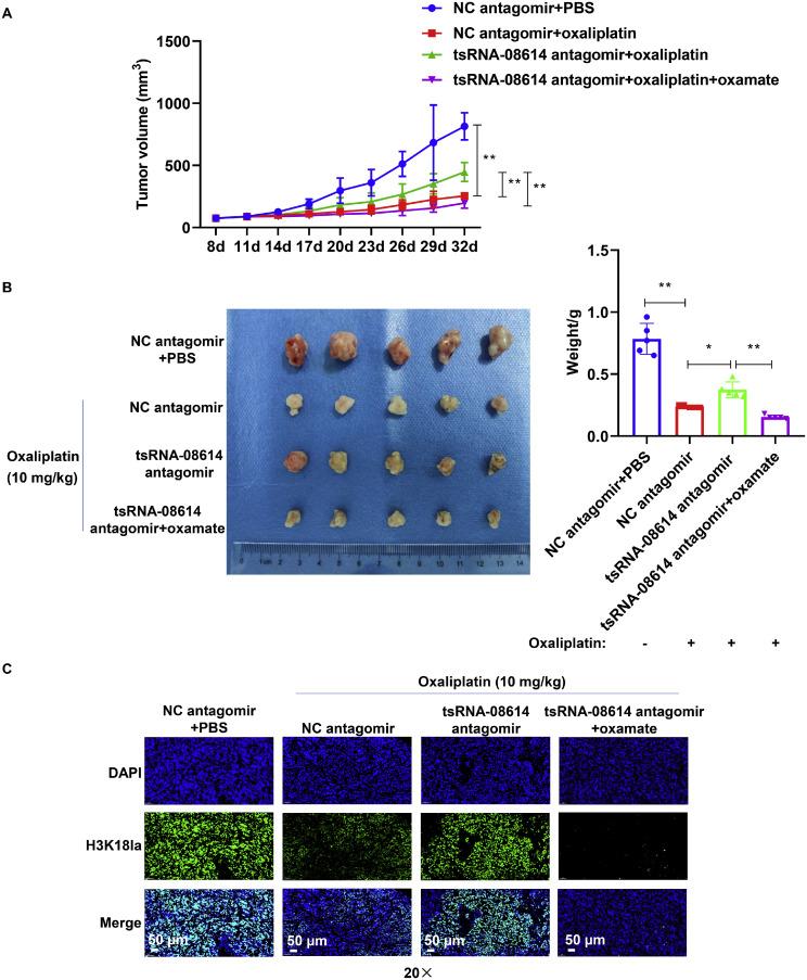 https://cdn.ncbi.nlm.nih.gov/pmc/blobs/14d4/12169791/2c8fb44abc42/gr9.jpg