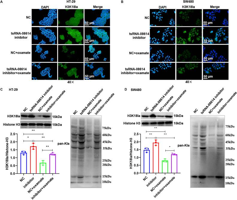 https://cdn.ncbi.nlm.nih.gov/pmc/blobs/14d4/12169791/42a1b4c8b219/gr4.jpg