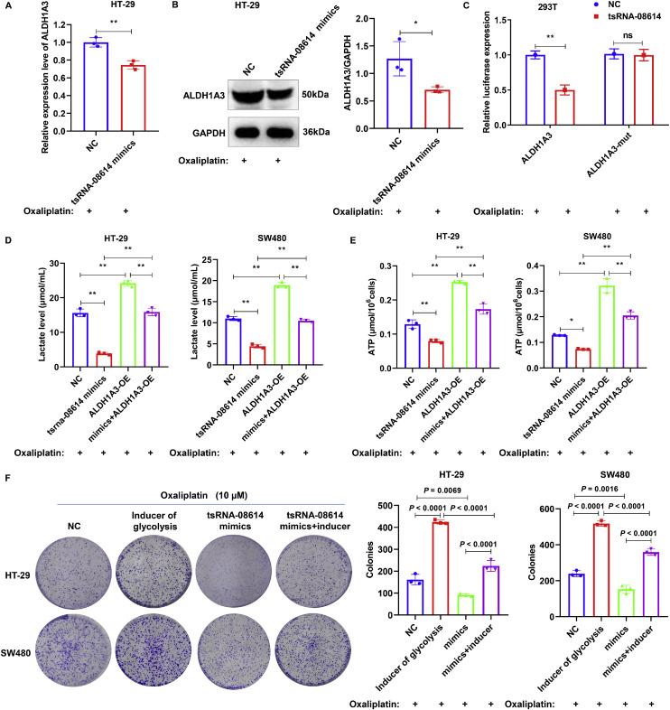 https://cdn.ncbi.nlm.nih.gov/pmc/blobs/14d4/12169791/a8120be099da/gr3.jpg