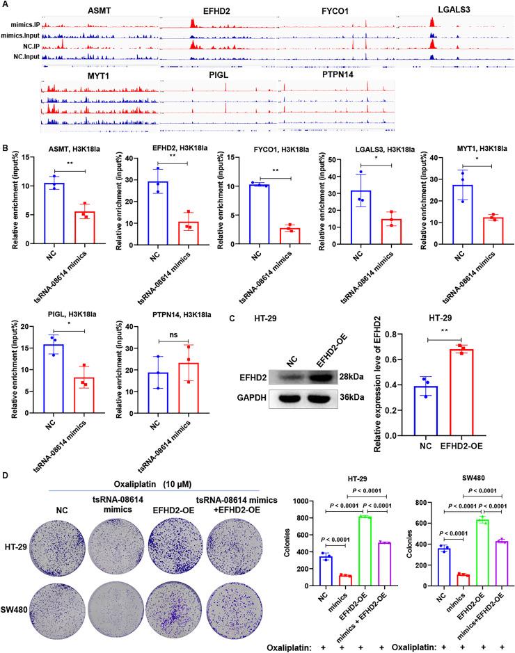 https://cdn.ncbi.nlm.nih.gov/pmc/blobs/14d4/12169791/c382c3e4df31/gr6.jpg