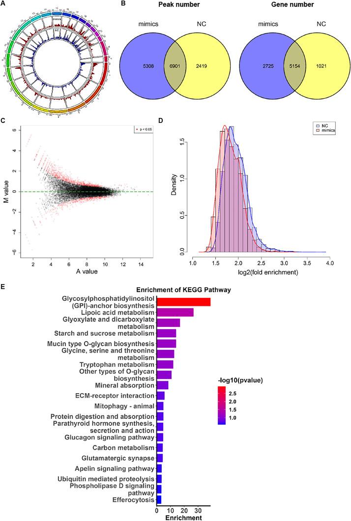 https://cdn.ncbi.nlm.nih.gov/pmc/blobs/14d4/12169791/e50616bcde31/gr5.jpg