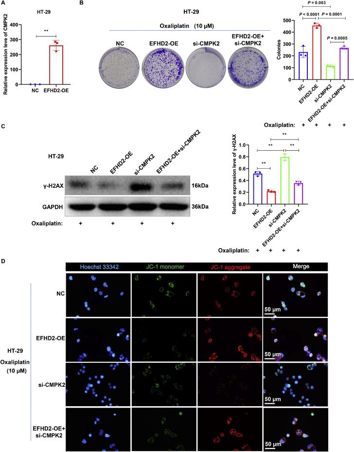 https://cdn.ncbi.nlm.nih.gov/pmc/blobs/14d4/12169791/f9ad7fecf142/gr8.jpg