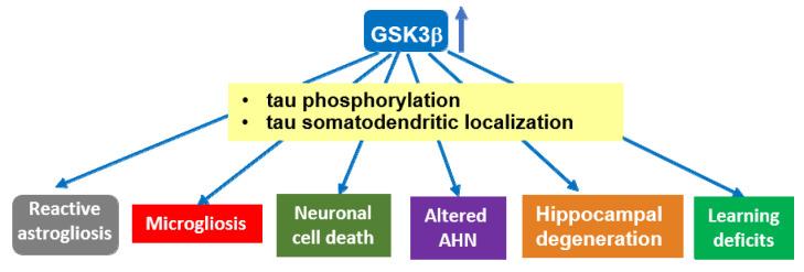 https://cdn.ncbi.nlm.nih.gov/pmc/blobs/14d4/8063930/53a61c4645c9/cells-10-00721-g001.jpg
