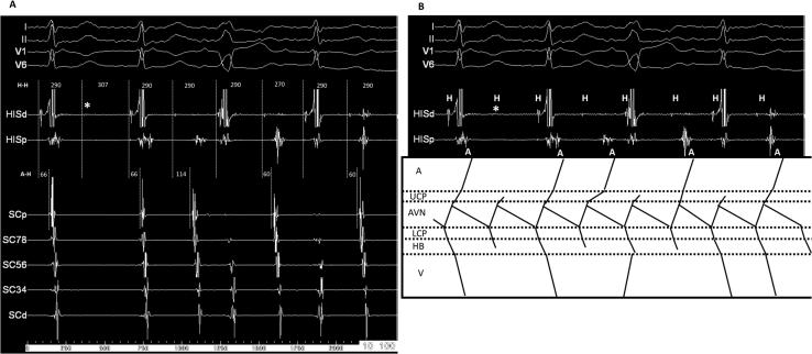 https://cdn.ncbi.nlm.nih.gov/pmc/blobs/14d4/8283425/4e26395dc9d1/figs7.jpg