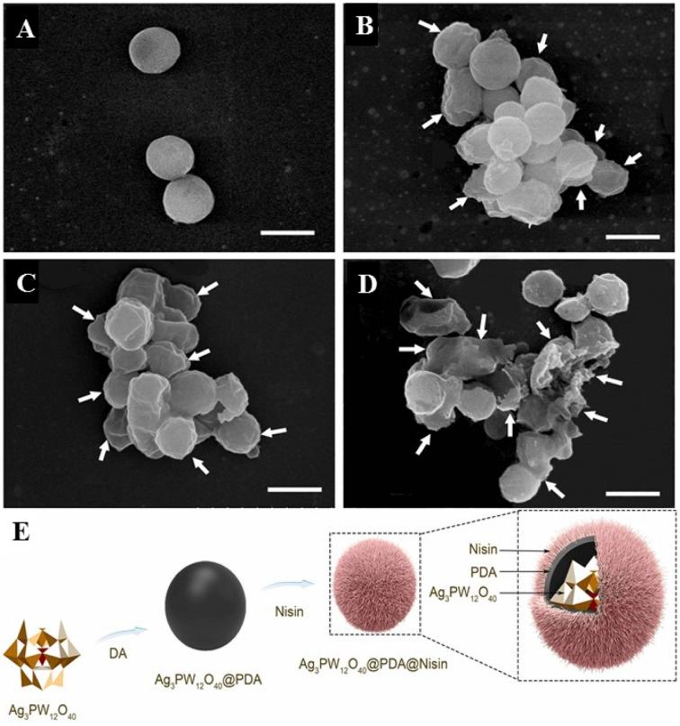 https://cdn.ncbi.nlm.nih.gov/pmc/blobs/14d5/9470027/6f6c2823c0b8/d2na00391k-f12.jpg