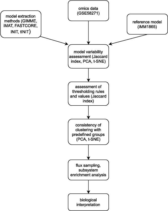 https://cdn.ncbi.nlm.nih.gov/pmc/blobs/14d6/8225705/88d080690106/gr6.jpg
