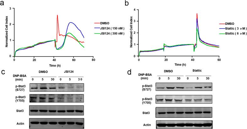 https://cdn.ncbi.nlm.nih.gov/pmc/blobs/14d7/4977535/dc34fde36846/srep31320-f3.jpg