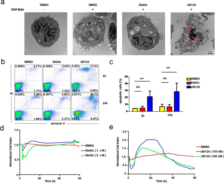 https://cdn.ncbi.nlm.nih.gov/pmc/blobs/14d7/4977535/e6682cb5d75d/srep31320-f5.jpg