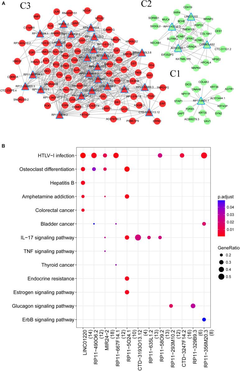 https://cdn.ncbi.nlm.nih.gov/pmc/blobs/14d8/7773907/66ae0ba16978/fgene-11-563954-g003.jpg
