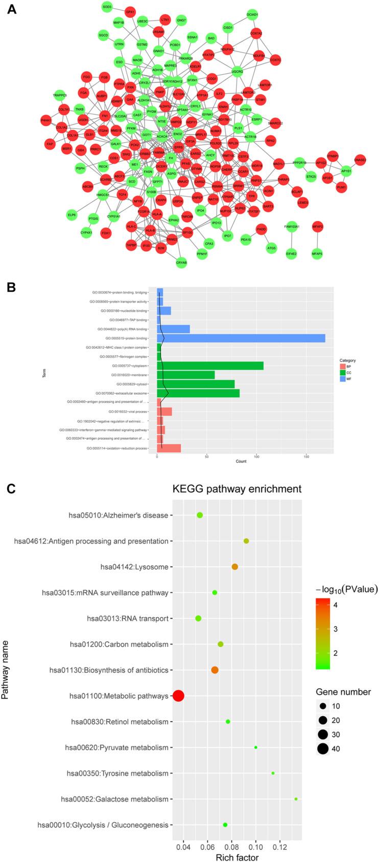 https://cdn.ncbi.nlm.nih.gov/pmc/blobs/14d8/7773907/fde5cfbae8b5/fgene-11-563954-g006.jpg