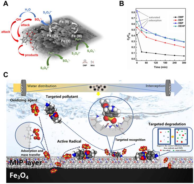 https://cdn.ncbi.nlm.nih.gov/pmc/blobs/14da/12190631/037617cb98e6/biosensors-15-00393-g008.jpg