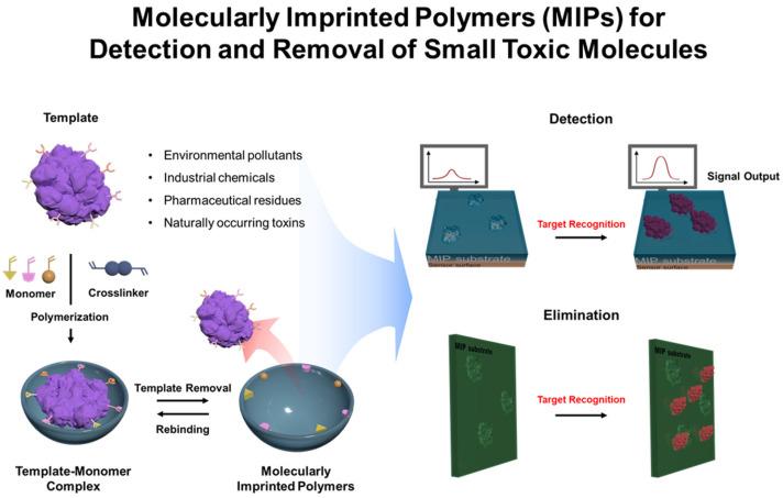 https://cdn.ncbi.nlm.nih.gov/pmc/blobs/14da/12190631/80c7a90dd4ba/biosensors-15-00393-g001.jpg
