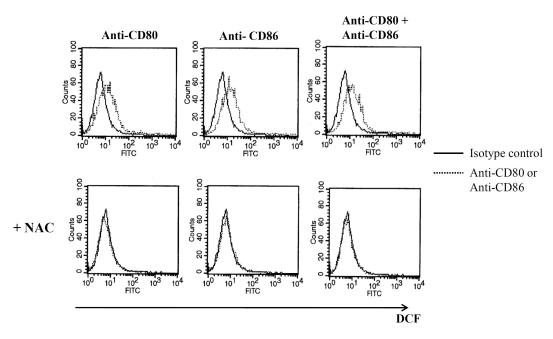 https://cdn.ncbi.nlm.nih.gov/pmc/blobs/14db/3275709/3ba8d21e63c0/in-11-390-g004.jpg