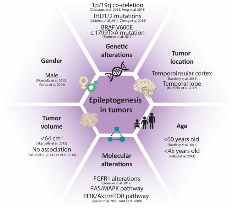 https://cdn.ncbi.nlm.nih.gov/pmc/blobs/14db/9599244/f3322d2c7a56/biomedicines-10-02475-g001.jpg