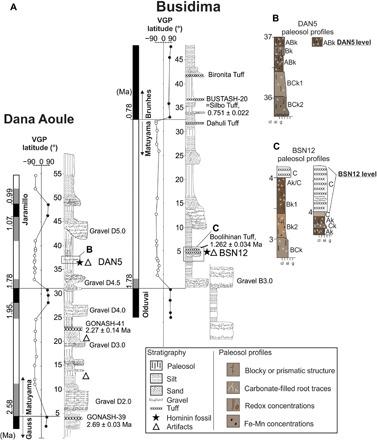 https://cdn.ncbi.nlm.nih.gov/pmc/blobs/14dc/7056306/e4220d05af4f/aaw4694-F2.jpg
