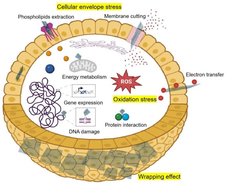 https://cdn.ncbi.nlm.nih.gov/pmc/blobs/14df/11051958/2f994e2ad526/microorganisms-12-00814-g001.jpg