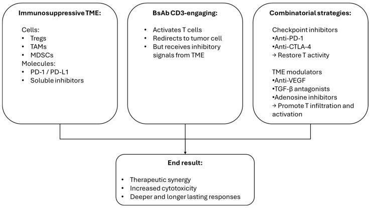 https://cdn.ncbi.nlm.nih.gov/pmc/blobs/14e1/12346293/8f0471d127f1/cancers-17-02479-g002.jpg