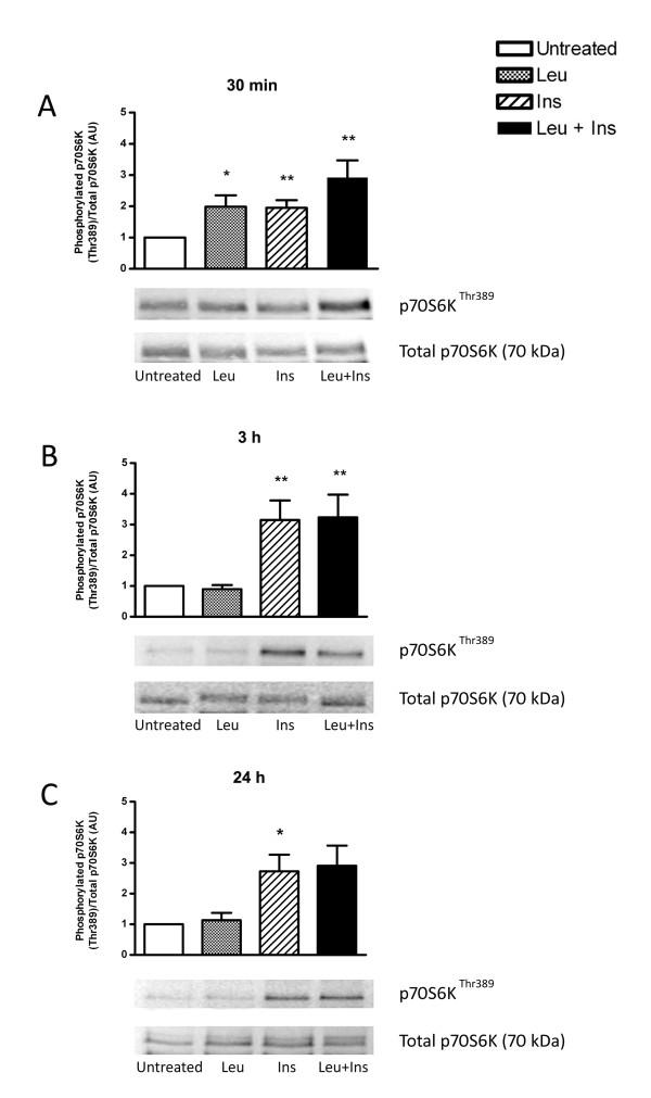 https://cdn.ncbi.nlm.nih.gov/pmc/blobs/14e2/3141572/6122d0040119/1472-6793-11-10-4.jpg