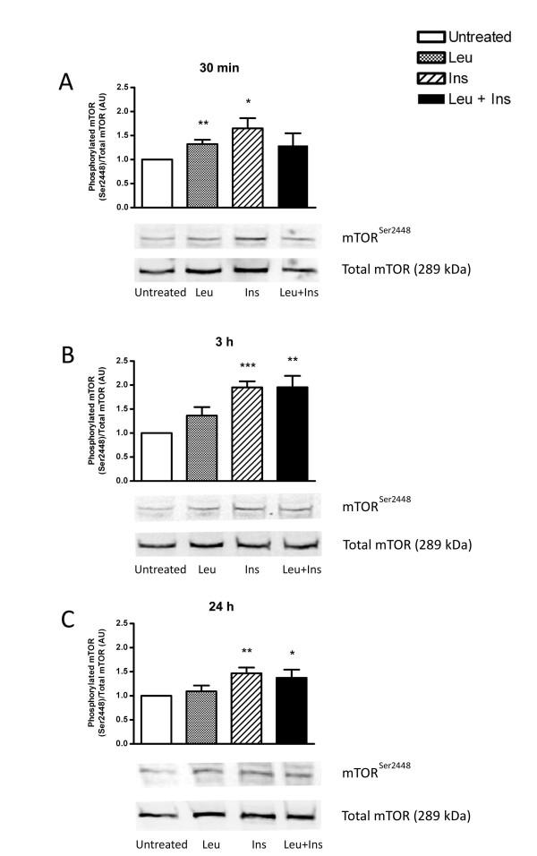 https://cdn.ncbi.nlm.nih.gov/pmc/blobs/14e2/3141572/b3a08986464d/1472-6793-11-10-2.jpg