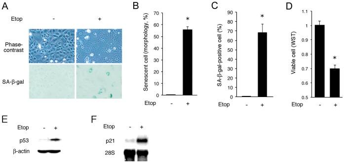 https://cdn.ncbi.nlm.nih.gov/pmc/blobs/14e2/3525586/11d8521296dc/pone.0052305.g001.jpg