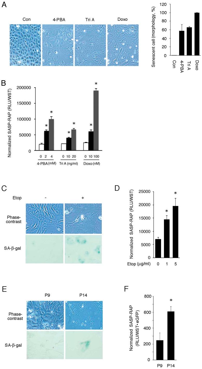 https://cdn.ncbi.nlm.nih.gov/pmc/blobs/14e2/3525586/1bba53028dff/pone.0052305.g003.jpg