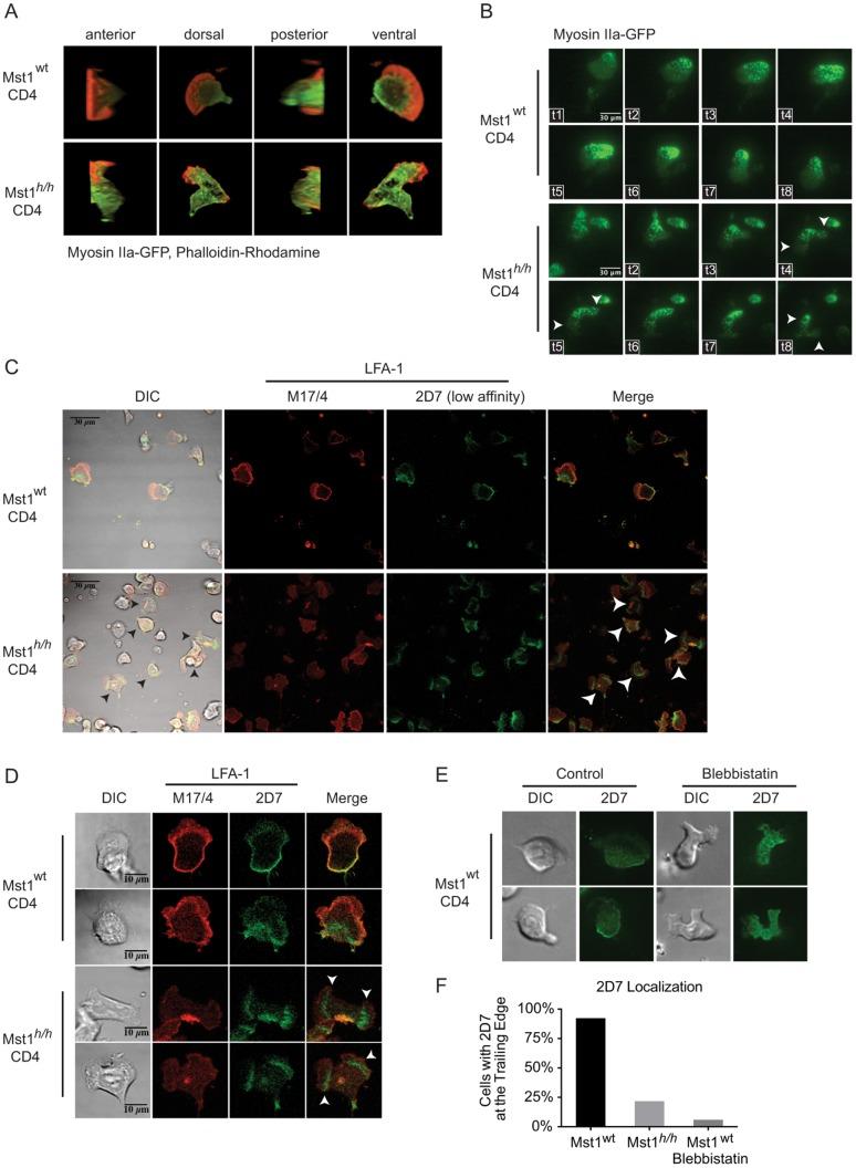 https://cdn.ncbi.nlm.nih.gov/pmc/blobs/14e4/4136924/5b75d5912c91/pone.0105561.g004.jpg