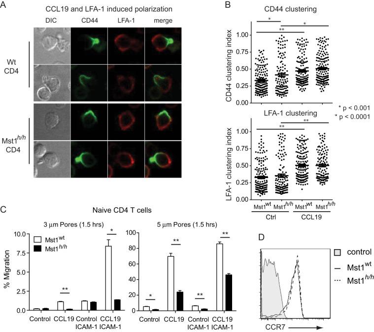 https://cdn.ncbi.nlm.nih.gov/pmc/blobs/14e4/4136924/d12d608a9d5c/pone.0105561.g003.jpg
