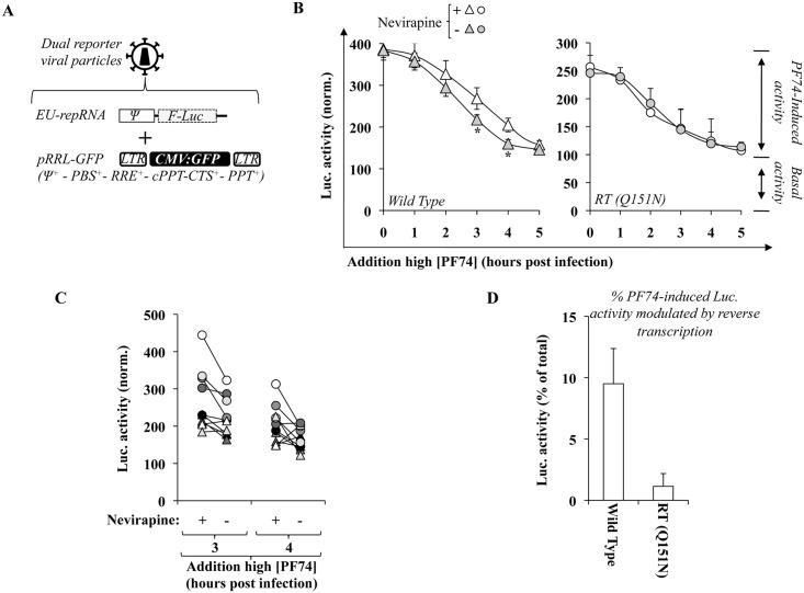 https://cdn.ncbi.nlm.nih.gov/pmc/blobs/14e4/5045187/8f11fb62da9d/ppat.1005897.g008.jpg