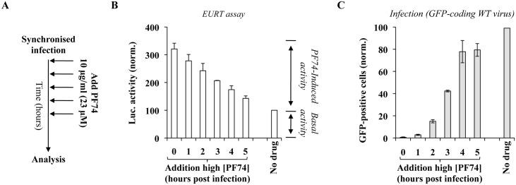 https://cdn.ncbi.nlm.nih.gov/pmc/blobs/14e4/5045187/ae60e57350b2/ppat.1005897.g007.jpg