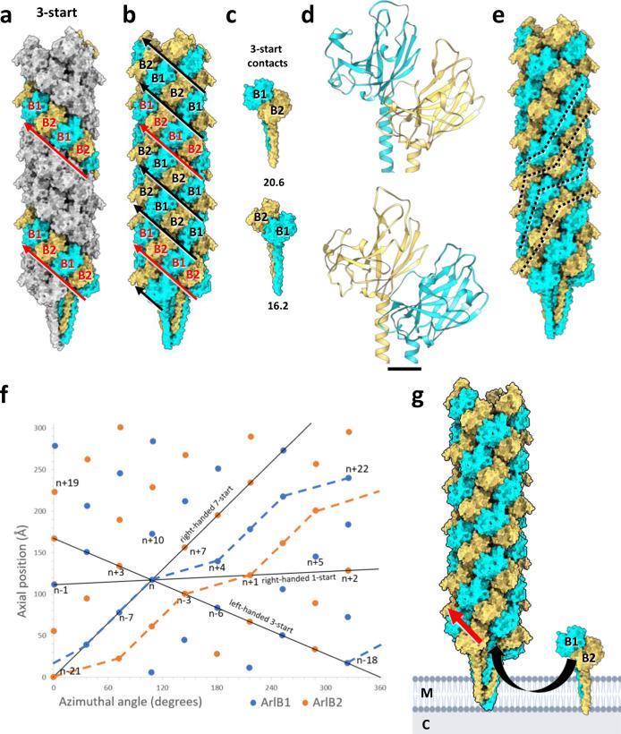 https://cdn.ncbi.nlm.nih.gov/pmc/blobs/14e7/8821640/31a3c0757659/41467_2022_28337_Fig4_HTML.jpg
