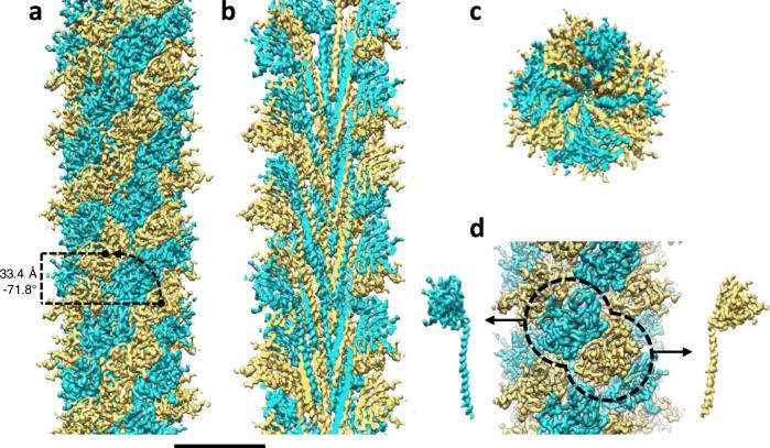 https://cdn.ncbi.nlm.nih.gov/pmc/blobs/14e7/8821640/9a840cae1bf9/41467_2022_28337_Fig1_HTML.jpg