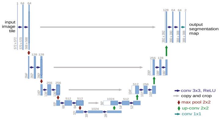 https://cdn.ncbi.nlm.nih.gov/pmc/blobs/14e9/11505408/38cbfe72c2b5/bioengineering-11-01034-g007.jpg