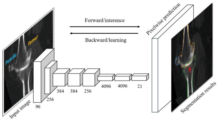 https://cdn.ncbi.nlm.nih.gov/pmc/blobs/14e9/11505408/59a85411adab/bioengineering-11-01034-g006.jpg