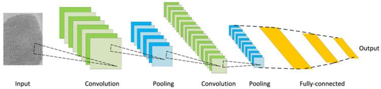 https://cdn.ncbi.nlm.nih.gov/pmc/blobs/14e9/11505408/dc21c4c3f029/bioengineering-11-01034-g005.jpg