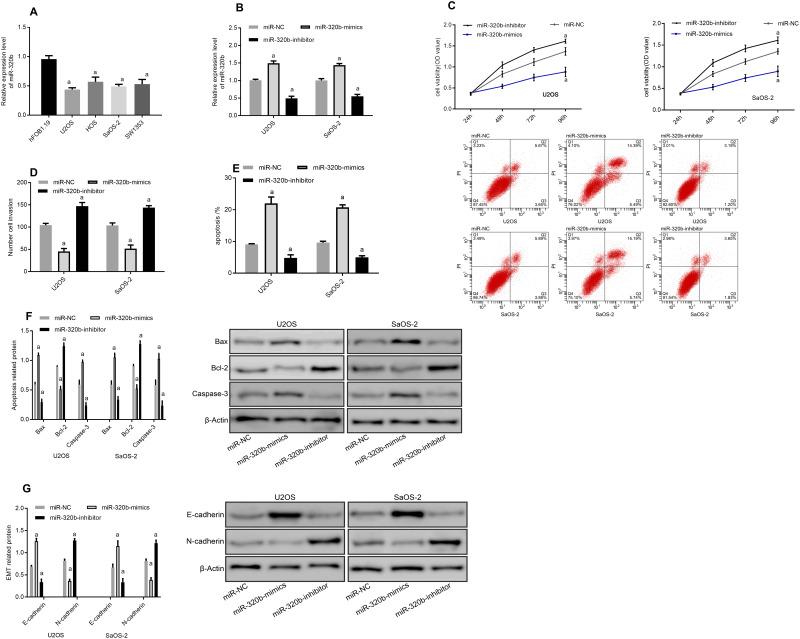 https://cdn.ncbi.nlm.nih.gov/pmc/blobs/14e9/7781231/ce0ba217cc96/CMAR-12-13589-g0004.jpg