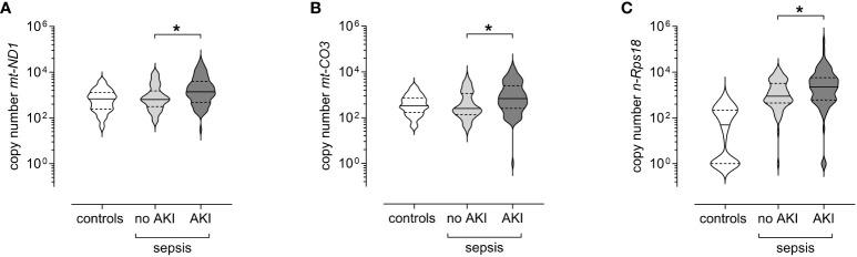 https://cdn.ncbi.nlm.nih.gov/pmc/blobs/14ea/11128621/6435dfd21bac/fimmu-15-1382003-g006.jpg