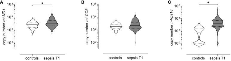 https://cdn.ncbi.nlm.nih.gov/pmc/blobs/14ea/11128621/ced01a19d914/fimmu-15-1382003-g002.jpg