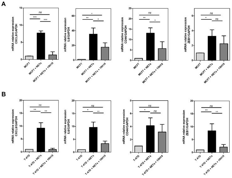 https://cdn.ncbi.nlm.nih.gov/pmc/blobs/14ec/10778307/3575257263ca/cancers-16-00005-g004.jpg