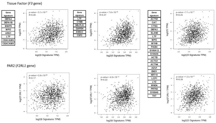 https://cdn.ncbi.nlm.nih.gov/pmc/blobs/14ec/10778307/54bd5d19c21c/cancers-16-00005-g001.jpg