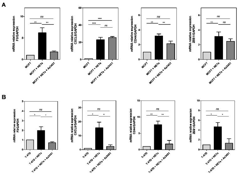 https://cdn.ncbi.nlm.nih.gov/pmc/blobs/14ec/10778307/bd4b296c8589/cancers-16-00005-g006.jpg
