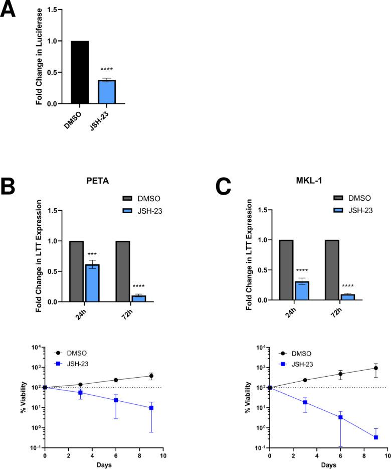 https://cdn.ncbi.nlm.nih.gov/pmc/blobs/14f2/10468096/ccd03945440c/ppat.1011598.g005.jpg