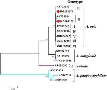 https://cdn.ncbi.nlm.nih.gov/pmc/blobs/14f2/5909264/72e88f20b07e/13071_2018_2788_Fig2_HTML.jpg