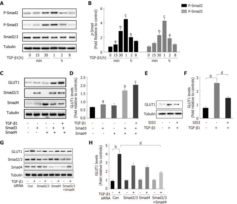 https://cdn.ncbi.nlm.nih.gov/pmc/blobs/14f2/8567474/ed92b6bd4105/WJG-27-6908-g003.jpg