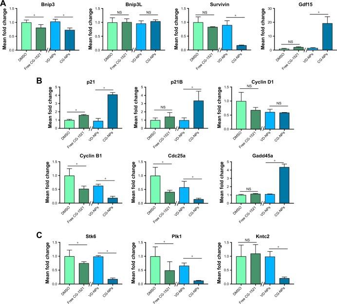 https://cdn.ncbi.nlm.nih.gov/pmc/blobs/14f5/6388755/c7a2c8e225ba/ijn-14-1335Fig7.jpg