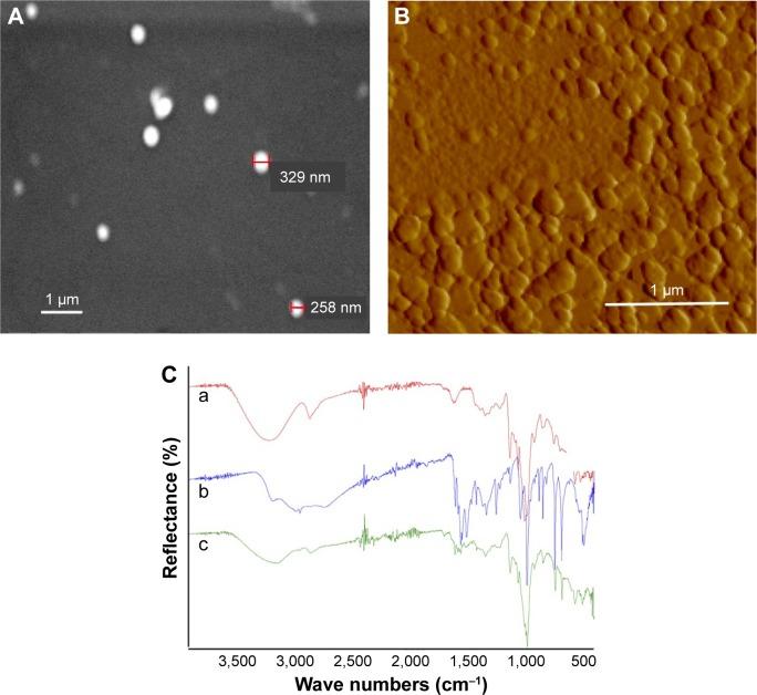 https://cdn.ncbi.nlm.nih.gov/pmc/blobs/14f5/6388755/c8a0a8633676/ijn-14-1335Fig2.jpg
