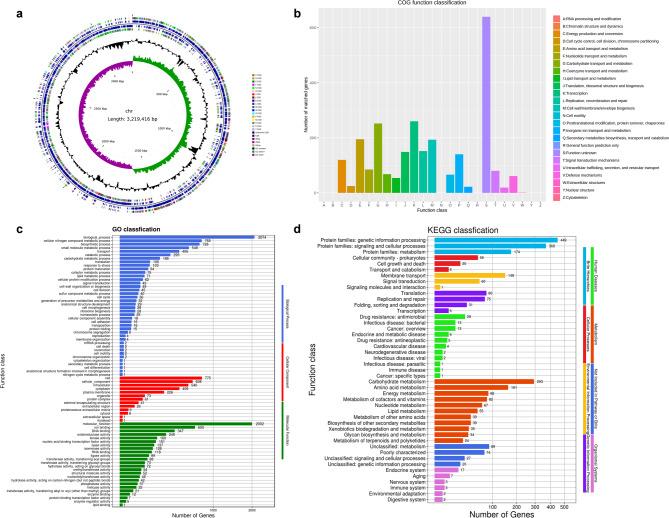 https://cdn.ncbi.nlm.nih.gov/pmc/blobs/14f6/12049038/c9356182f21f/12917_2025_4766_Fig1_HTML.jpg