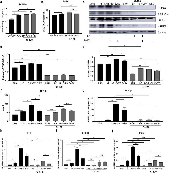 https://cdn.ncbi.nlm.nih.gov/pmc/blobs/14f6/12049038/f109d636d0a2/12917_2025_4766_Fig5_HTML.jpg