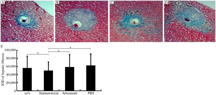 https://cdn.ncbi.nlm.nih.gov/pmc/blobs/14f8/3596707/41ab4a5d8c22/jbr-25-02-148-g005.jpg