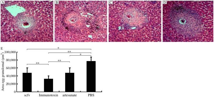 https://cdn.ncbi.nlm.nih.gov/pmc/blobs/14f8/3596707/e45161849621/jbr-25-02-148-g004.jpg